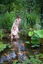AquascapePRO Complete PRO Pond Kit with 9PL - 7000 Pump