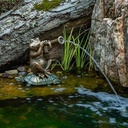 JAZZ FROG SPITTER