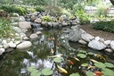 AquascapePRO Complete PRO Pond Kit with 9PL - 7000 Pump