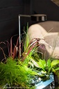 AQUAGARDEN PLANT LIGHT