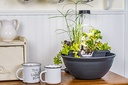 AQUAGARDEN TABLETOP FOUNTAIN KIT GRAY
