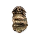 DOUBLE TURTLE ON LOG SPITTER