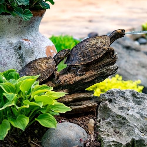DOUBLE TURTLE ON LOG SPITTER