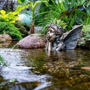 FAIRY PLANTER SPITTER