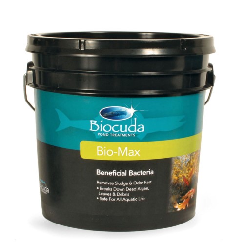 BIOMAX - 6 LB