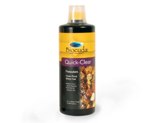 QUICKCLEAR - 32 FL OZ