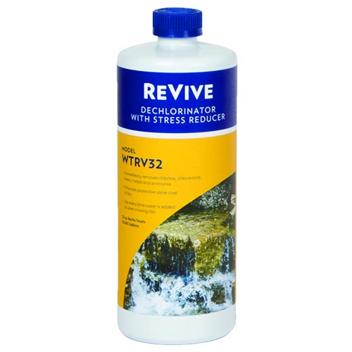 REVIVE - 32 FL OZ