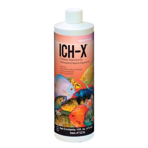 ICH-X® Water Treatment 16 Oz
