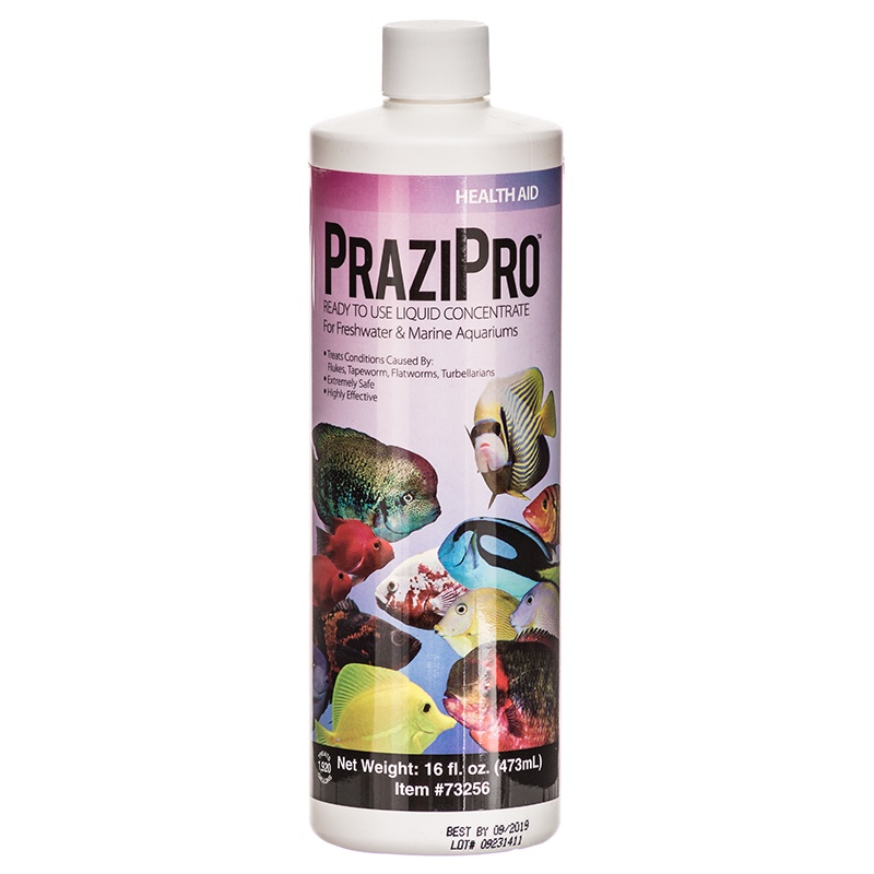 PRAZIPRO® Parasite Treatment Gallon