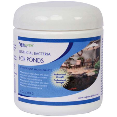 BENEFICIAL BACTERIA CONCENTRATE - 8.8 OZ / 250 G