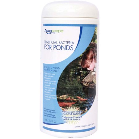 BENEFICIAL BACTERIA CONCENTRATE - 1.1 LB / 500 G