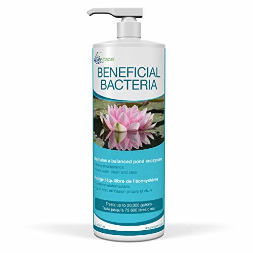 BENEFICIAL BACTERIA - 32 OZ / 946 ML