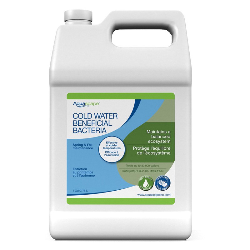 COLD WATER BENEFICIAL BACTERIA - 1 GAL / 3.78 L