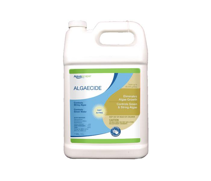 ALGAECIDE - 32 OZ / 946 ML