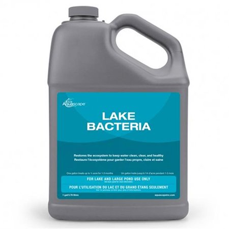 LAKE BACTERIA - 1 GAL / 3.78 L