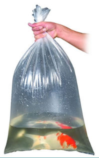 FISH BAGS 18" X 36" (QTY 100)