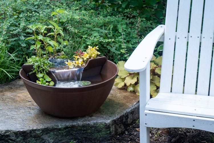 AQUAGARDEN MINI POND KIT - MOCHA