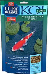 RAINWATER HARVESTING FOUNTAIN ADD-ON KIT