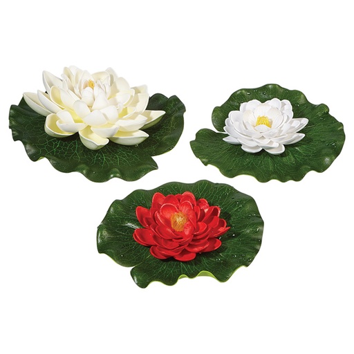 [52727] FLOATING LILY PAD VARIETY PACK