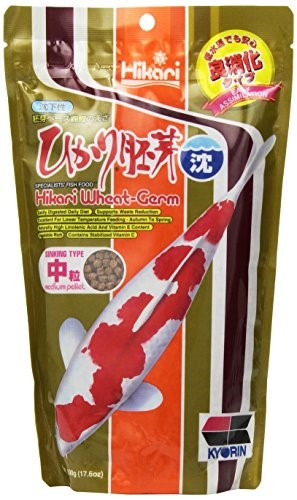 [35342] WHEAT GERM(SINKING) 17.6 OZ.