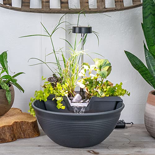 [78347] AQUAGARDEN TABLETOP FOUNTAIN KIT GRAY